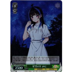 画像1: 【SR仕様(R)】星空の下 みに[WS_KNK/W132-022S]