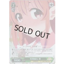 画像1: 【SR仕様(C)】突発旅行 墨[WS_KNK/W132-034S]