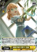織姫草紙 日野下 花帆[WS_LHS/W122-019U]