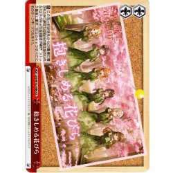 画像1: 抱きしめる花びら[WS_LHS/W122-068CR]