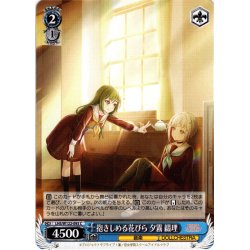 画像1: 抱きしめる花びら 夕霧 綴理[WS_LHS/W122-093C]