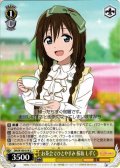 お茶会でひとやすみ 桜坂 しずく[WS_SIN/W109-014U]