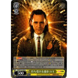 画像1: 待ち受ける運命 ロキ[WS_MAR/S124-003R]