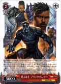 偉大な王 ブラックパンサー[WS_MAR/S124-073C]