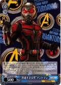 “普通すぎる男”アントマン[WS_MAR/S124-092C]