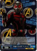 【SR仕様(C)】“普通すぎる男”アントマン[WS_MAR/S124-092S]