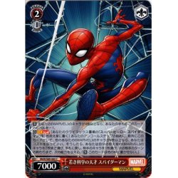 画像1: 若き科学の天才 スパイダーマン[WS_MAR/S89-065C]