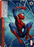 スーパーヒーロー スパイダーマン[WS_MAR/S89-072CC]