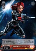 最新鋭の技術 ブラック・ウィドウ[WS_MAR/S89-T08TD]