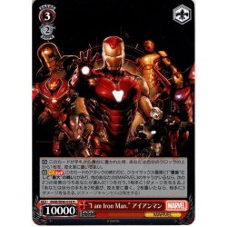 画像1: "I am Iron Man." アイアンマン[WS_MAR/SE40-018N]
