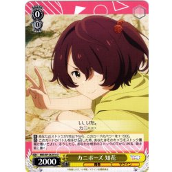画像1: カニポーズ 知花[WS_MKI/W126-014U]