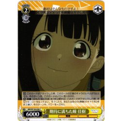 画像1: 期待に満ちた瞳 佳樹[WS_MKI/W126-028C]