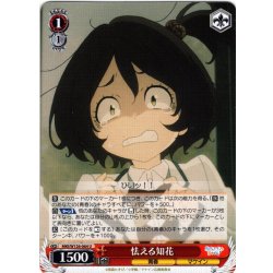 画像1: 怯える知花[WS_MKI/W126-064U]