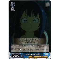 画像1: 必死の訴え 杏菜[WS_MKI/W126-093C]
