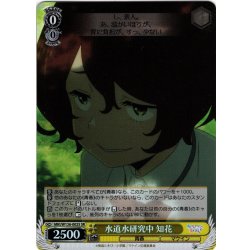 画像1: 【SR仕様(RR)】水道水研究中 知花[WS_MKI/W126-002S]
