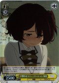 【SR仕様(U)】不慣れなコミュニケーション 知花[WS_MKI/W126-016S]