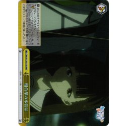 画像1: 【RRR仕様】相合傘の本音は[WS_MKI/W126-032R]