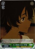 【SR仕様(C)】その視線の先は 檸檬[WS_MKI/W126-043S]