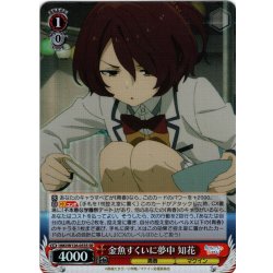 画像1: 【SR仕様(RR)】金魚すくいに夢中 知花[WS_MKI/W126-053S]