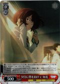 【SR仕様(R)】夕日に背を向けて 知花[WS_MKI/W126-055S]