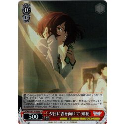 画像1: 【SR仕様(R)】夕日に背を向けて 知花[WS_MKI/W126-055S]