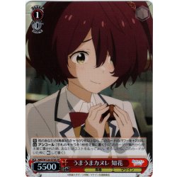 画像1: 【SR仕様(C)】うまうまカヌレ 知花[WS_MKI/W126-070S]