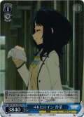 【SR仕様(C)】４Ｋヒロイン 杏菜[WS_MKI/W126-095S]