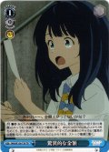 驚異的な金額[WS_MKI/W126-T20TD]
