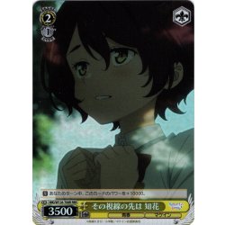 画像1: 【RRR仕様】その視線の先は 知花[WS_MKI/W126-T08R]