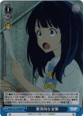 【RRR仕様】驚異的な金額[WS_MKI/W126-T20R]