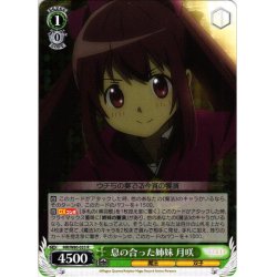 画像1: 息の合った姉妹 月咲[WS_MR/W80-033R]