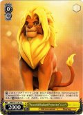 “Peaceful Radiant Protector”シンバ[WS_MRd/S111-011U]