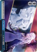 エルサの虚像[WS_MRd/S111-T20TD]