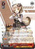 “お散歩トレーニング”ビスケット[WS_NIK/S117-066R]