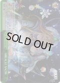 【RRR仕様】MIRACLE SNOW[WS_NIK/S117-055R]