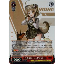 画像1: 【SR仕様(R)】“お散歩トレーニング”ビスケット[WS_NIK/S117-066S]