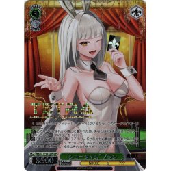 画像1: 【SSP仕様(RR)】“ショータイム”ブラン[WS_NIK/S117-031SSP]