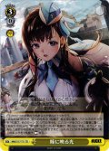 瞳に映る光[WS_NIK/S117-T11TD]