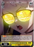 BOOMインストール ネオン[WS_NIK/S135-011U]