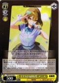 T.T.STAR時代 アニス[WS_NIK/S135-014U]