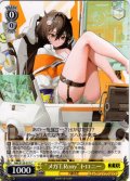 “メガT.Rony”トロニー[WS_NIK/S135-017C]