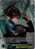 【SR星2】“過充電方程式”ツバイ[WS_NIK/S135-031S]