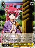 新年をみんなと シグナム[WS_NTA/WE48-15N]