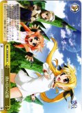 幼い日の記憶[WS_NTA/WE48-18N]
