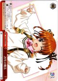 20年の魔法[WS_NTA/WE48-44N]