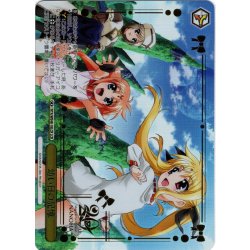 画像1: 【LCR仕様】幼い日の記憶[WS_NTA/WE48-18LCR]