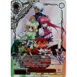 画像1: 【LCR仕様】シグナム＆ヴィータ＆シャマル＆ザフィーラ[WS_NTA/WE48-29LCR]