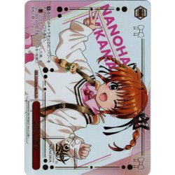 画像1: 【LCR仕様】20年の魔法[WS_NTA/WE48-44LCR]