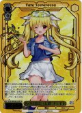 【SP仕様】あの日出会った絆 フェイト[WS_NTA/WE48-04_SP]