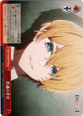 普通の幸せ[WS_OSK/S121-063CR]